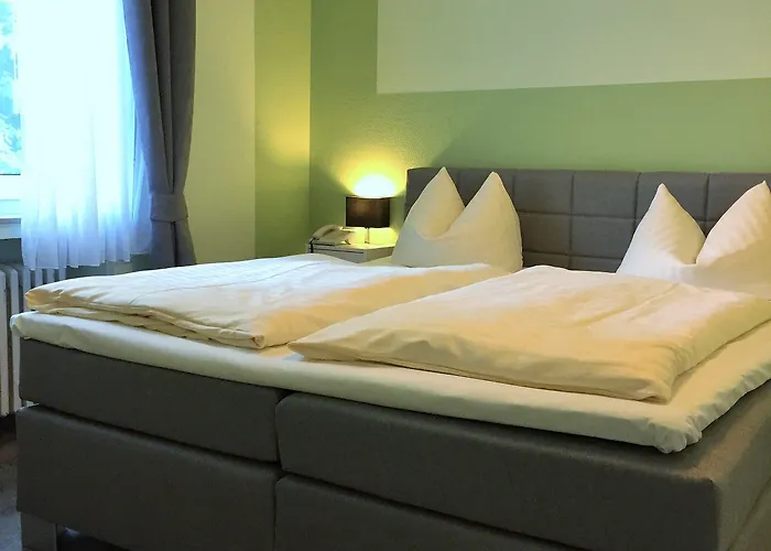 Weinhotel Roemerbad فندق 3*